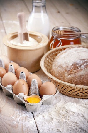 real eggs vs. egg replacers