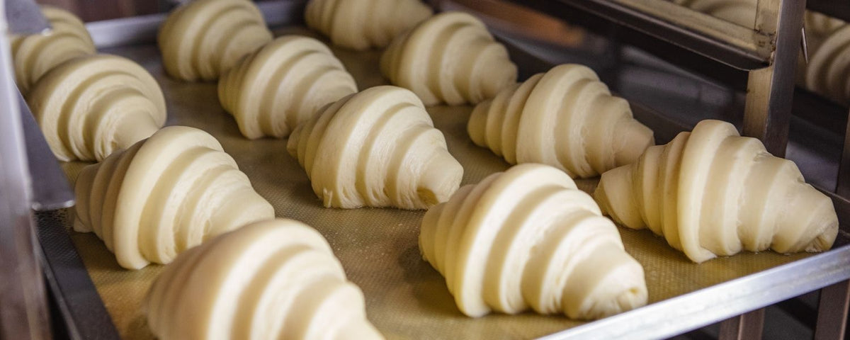 How a Proofer Retarder Makes Your Bakery More Consistent 