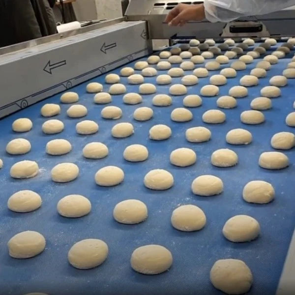 Unbaked dough balls arranged in rows on a blue conveyor belt in a bakery or food production setting, with a person's hand visible at the top right.