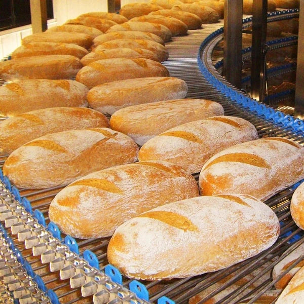close up of bread on the spiral conveyor in a forced air cooling system