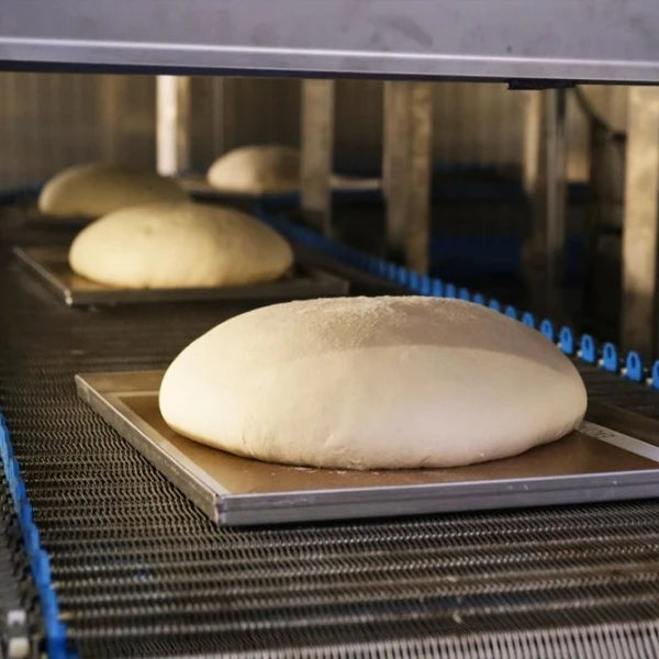 bread dough being proofed inside of a spiral proofing unit